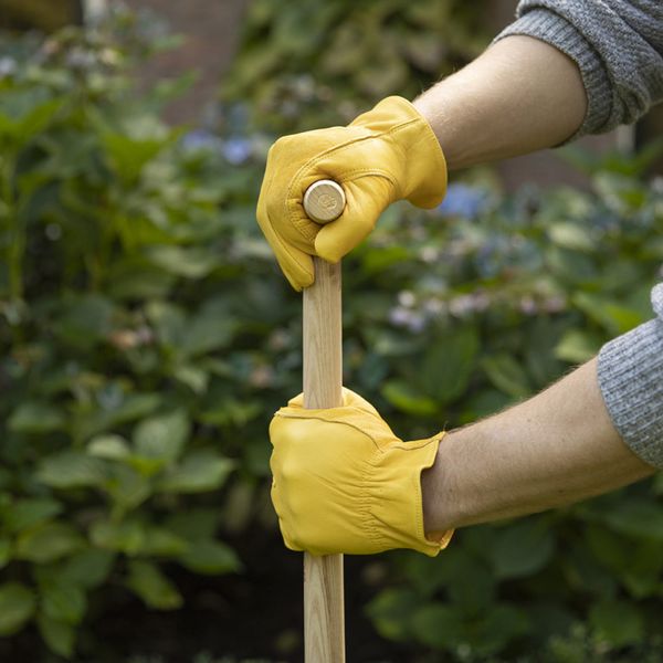 Arbeidshanske av kuskinn Medium